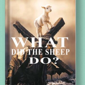 What Did The Sheep Do?
