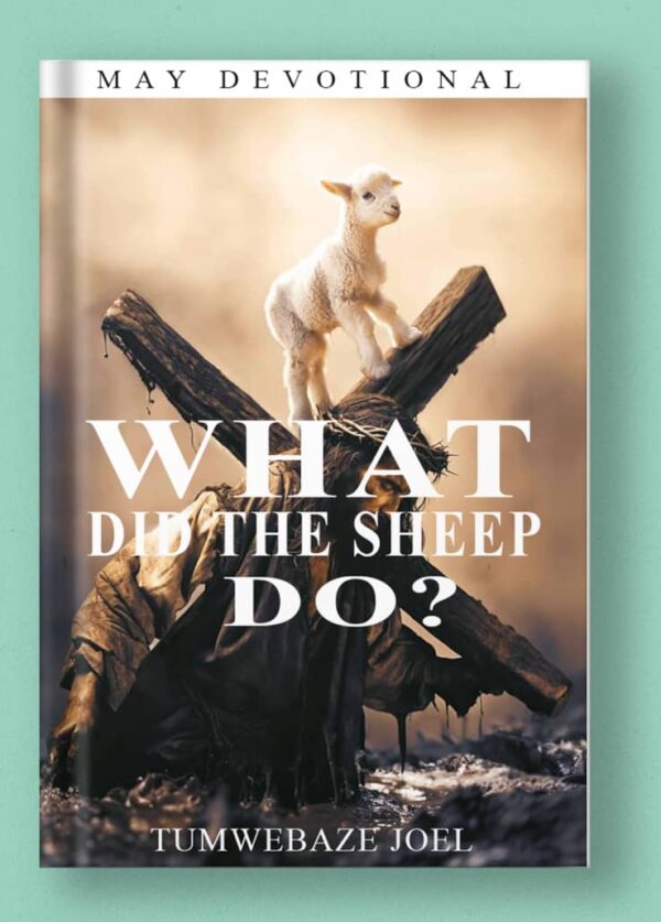 What Did The Sheep Do?